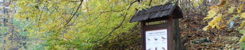 Herbst im Lößnitzgrund