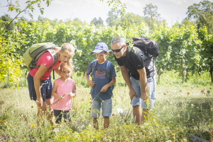 Pěší turistika v Radebeulu