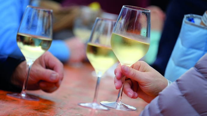  Těšit se můžete na speciální vinařskou túru skrytými zákoutími Radebeulských ... 