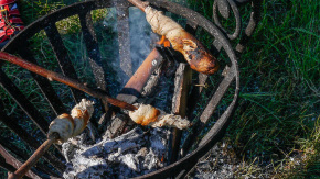 Tag des offenen Weinberges in Radebeul