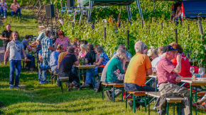 Tag des offenen Weinberges in Radebeul