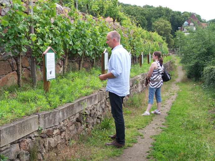 This hike leads from the Minkwitz vineyard via the Obere Bergstraße, the Frie... 