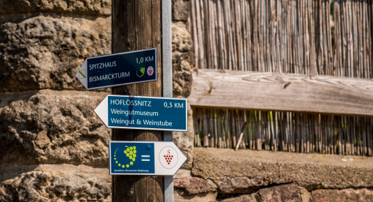 Natura i aktywność