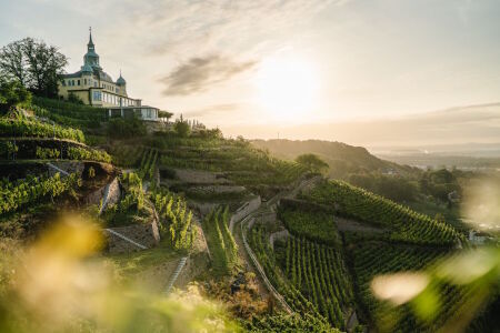 Spitzhaus Radebeul am Abend Sachsenträume