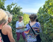  Weinwanderung mit 5er Probe 