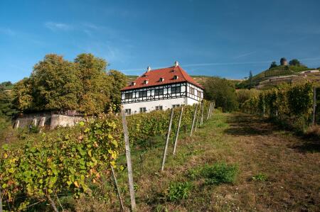 Weingut Hoflößnitz bei strahlendem Sonnenschein Weingut Hoflößnitz bei strahlendem Sonnenschein