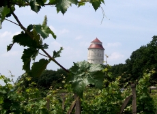 Radebeuler Wasserturm Radebeuler Wasserturm