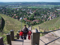 Blick von der Spitzhaustreppe Blick von der Spitzhaustreppe, Radebeul