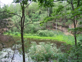 Beginnend an der Haltestelle der Straßenbahnlinie 4 \