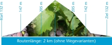 Höhenprofil Route Oberlößnitz