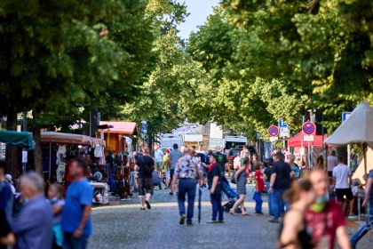 Pfad zum hungrigen Kojoten