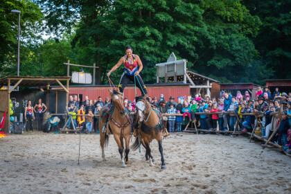 Bonanza Perdestunt 3