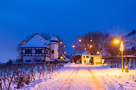 Winiarnia Hoflößnitz