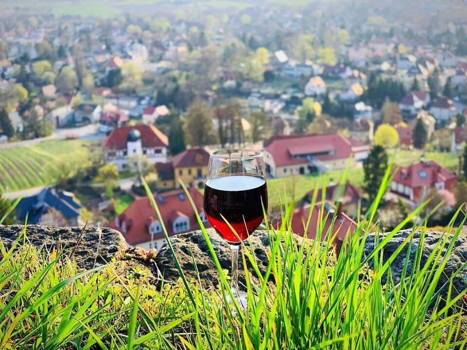 Weingut Hoflößnitz